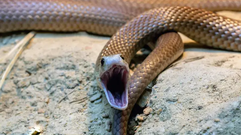 Foto von David Clode auf Unsplash